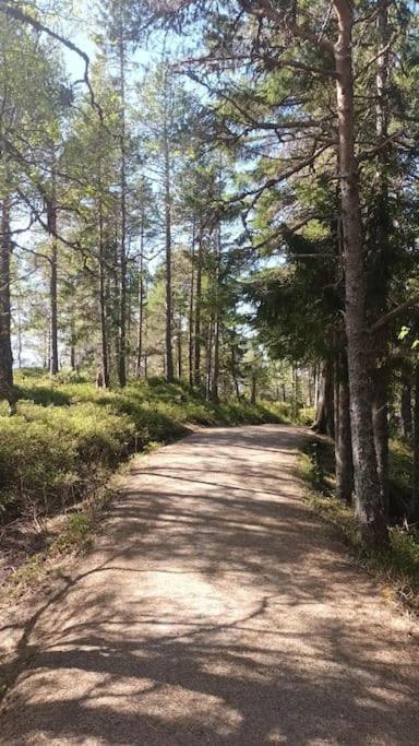 Sentralt, Kort Vei Til Byens Fasiliteter *